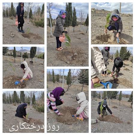 مناسبتی-روز درختکاری